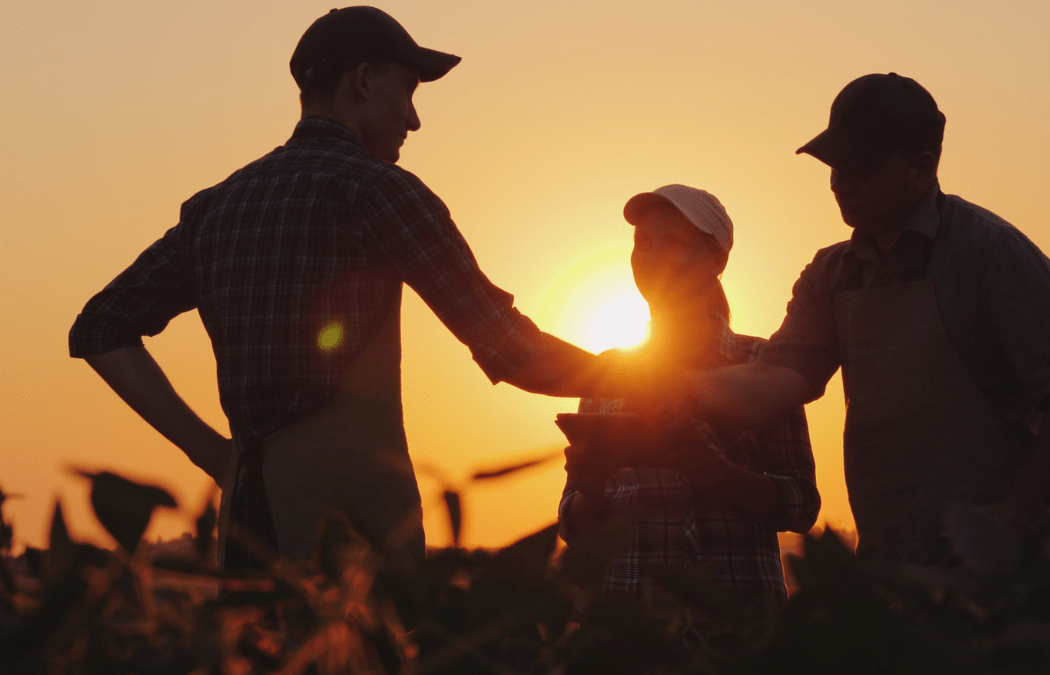 Five More Money-saving Insurance Tactics for Those With Complex Financial Needs